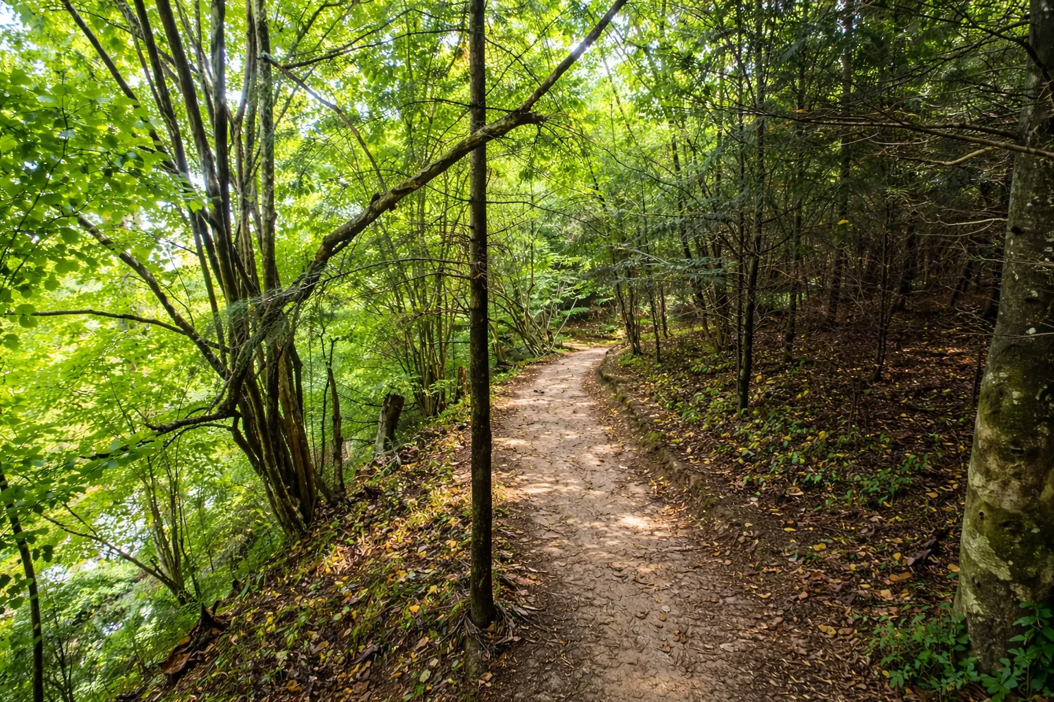 Jezioro Solińskie - atrakcja turystyczna Bieszczady i Jezioro Solińskie - 15 km • 30 min jazdy