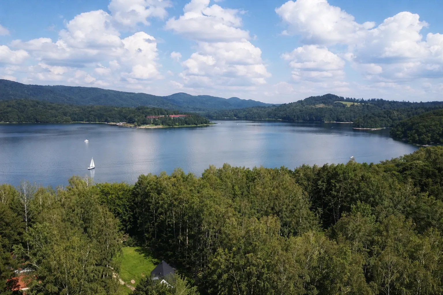 Bieszczady co robić — dzikie zwierzęta